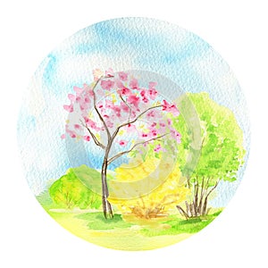 Watercolor Spring landscape, sakura pink flowers trees and yellow forsythia bush on blue sky, Green nature forest