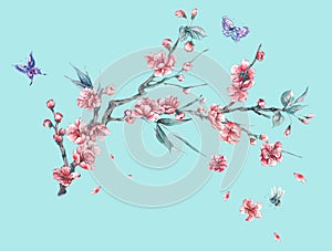Watercolor spring pink blooming branches of cherry