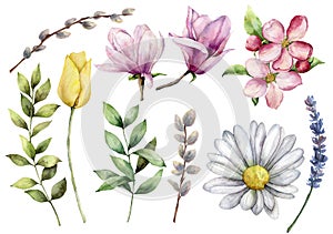Watercolor spring plants set. Hand painted camomile, pansy, willow, lavender, tulips and herbs isolated on white