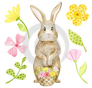 Watercolor spring rabbit illustration. Hand painted little brown Easter bunny with floral basket isolated on white