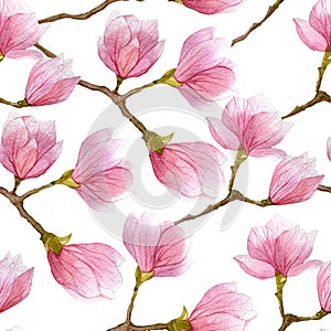 Watercolor spring seamless pattern with blooming magnolia tree isolated on white background.