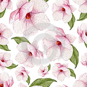 Watercolor spring seamless pattern with magnolia flowers and leaves.Blossoms background.