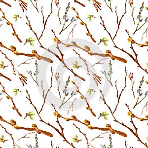 Watercolor spring seamless pattern with pussy willow twigs and tree branches isolated on white background.