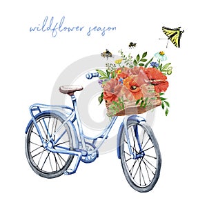 Watercolor spring or summer blue bicycle illustration. hand painted bike and poppy flowers in a basket., isolated. Wildflowers