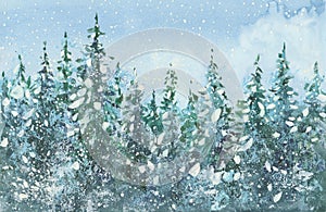 watercolor  spruce forest