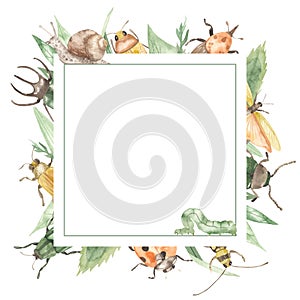 Watercolor square frame with insects, ladybug, beetles, bee, snail, caterpillar. Leaves and grass