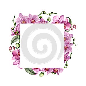 Watercolor square frame with pink orchids. Hand painted tropical border with flowers, leaves and buds isolated on white