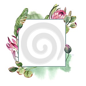 Watercolor square frame wreath of pink protea with green leaves on white background