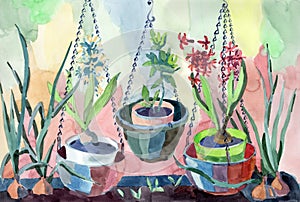 Watercolor still life with garden hyacinth flowers and plants