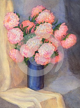 Watercolor Still Life. Pink asters in dark blue vase