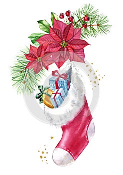 Watercolor stocking with gifts on bouquet with red flowers. Christmas postcard with pine tree, poinsettia, golden