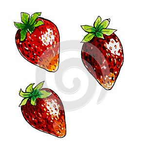 Watercolor strawberry with leafs closeup isolated on white background