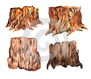 Watercolor stump isolated on white background. a set of interesting watercolor drawings of stumps with wood texture in