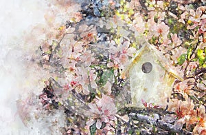 watercolor style and abstract image of cherry tree flowers and birdhouse.