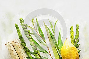 Watercolor style and abstract image of Jewish festival of Sukkot. Traditional symbols The four species: Etrog, lulav, hadas,