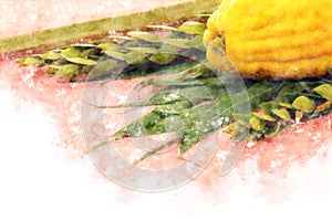 Watercolor style and abstract image of Jewish festival of Sukkot. Traditional symbols The four species: Etrog, lulav, hadas, ara