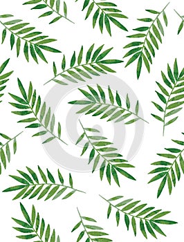 Watercolor Style Green Tree Twigs Isolated on a White Background.