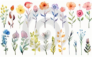 watercolor style set of single flowers, leaves and branches, soft colors yellow and green, white background cut out