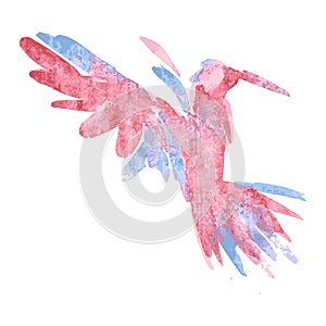 Watercolor-style vector illustration of bird.