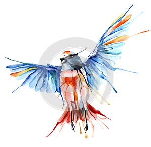 Watercolor-style vector illustration of bird.