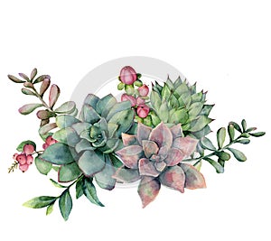 Watercolor succulent bouquet with red berries. Hand painted green and violet flowers, branch and hypericum isolated on