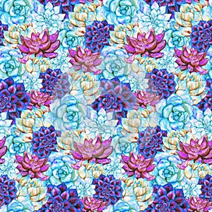 Watercolor succulent cactus flower plant hand drawn seamless pattern