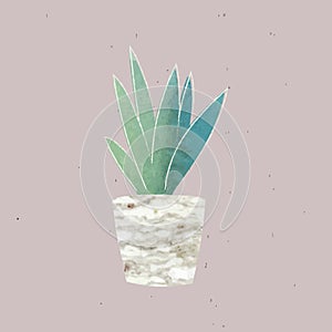 Watercolor succulent potted plant illustrated