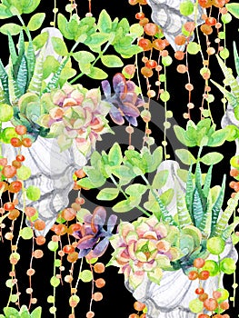 Watercolor succulents.