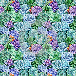 Watercolor succulents seamless pattern. Texture with tropical green plant. Hand painted vintage spring garden background