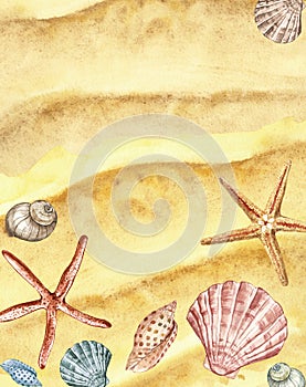 Watercolor summer beach background with hand painted seashells, starfish on sand texture. Marine illustration, top view