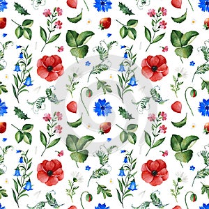 Watercolor Summer collection with leaves,bellflower,poppy,cornflower,berry,branches.