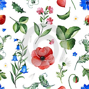 Watercolor Summer collection with leaves,bellflower,poppy,cornflower,berry,branches.