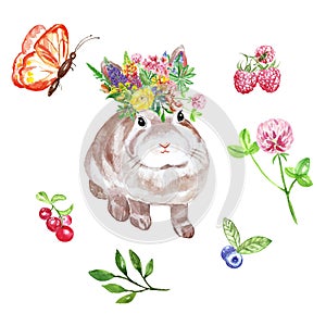 Watercolor summer illustration with cute baby bunny, wildflowers, berries and butterfly, isolated. Hand painted rabbit
