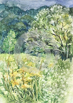 Watercolor of summer landscape. Illustration for decor.