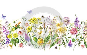 Watercolor summer meadow flowers, wildflowers seamless border