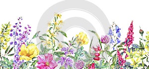 Watercolor summer medicinal floral seamless border, Wild flowers plant