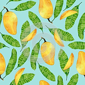 Watercolor summer seamless pattern with mango fruits and leaves on turquoise background. Tropical design for print,textile,wrappin