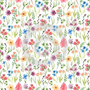 Watercolor summer seamless pattern with  pretty meadow flowers. Hand drawn wildflowers. Herbs paper. Field florals bouquet