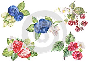 Watercolor summer set of berries. Fruits, strawberries, blueberries isolated on white