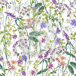 Watercolor summer wildflowers seamless pattern