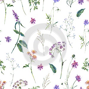 Watercolor summer wildflowers seamless pattern