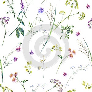 Watercolor summer wildflowers seamless pattern