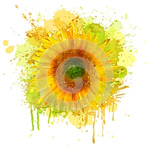 Watercolor sunflower. Vector