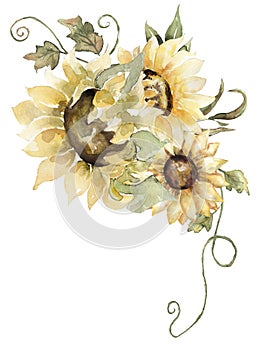 Watercolor sunflowers bouquet clipart. Autumn florals corner border illustration, field flower arrangement