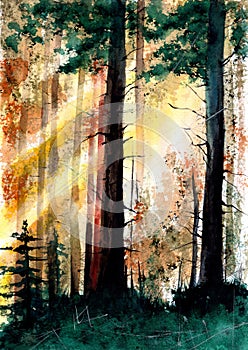 Watercolor sunlit forest with rays of light