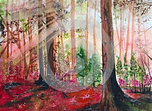 Watercolor sunlit red forest with tall spruces, firs and pines