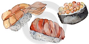 Watercolor sushi set of beautiful tasty japanese food illustration. Hand drawn objects isolated on white background.