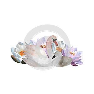 Watercolor swan and baby Waterlilies Mother child Cute For Mother's day 2024, baby decor 2024, logos, posters Young
