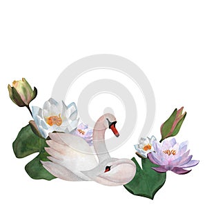 Watercolor swan and baby with waterlilies Mother child Cute For Mother's day 2024 baby decor 2024 posters Cub Young