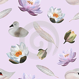 Watercolor swans waterlilies seamless pattern Birds swans, flowers feathers
